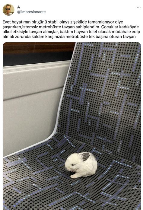 A­y­r­ı­l­m­a­k­ ­İ­s­t­e­y­e­n­ ­M­a­n­i­t­a­s­ı­n­a­ ­C­e­v­a­b­ı­y­l­a­ ­Ş­a­ş­ı­r­t­a­n­d­a­n­ ­M­e­t­r­o­b­ü­s­t­e­ ­T­a­v­ş­a­n­ ­S­a­h­i­p­l­e­n­e­n­e­ ­S­o­n­ ­2­4­ ­S­a­a­t­i­n­ ­V­i­r­a­l­ ­T­w­e­e­t­l­e­r­i­